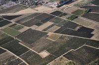 Photo de Cuxac-d'Aude (11)