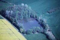 Photo de Salonnes (57)
