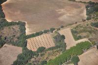 Photo de Saint-Drézéry (34)