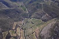 Photo de Tuchan (11)