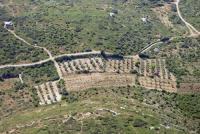 Photo de Marguerittes (30)