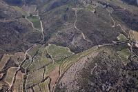 Photo de Tuchan (11)