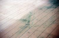 Photo de Flirey (54)