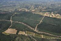 Photo de Buisson (84)