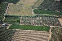 Photo de Mauguio (34)