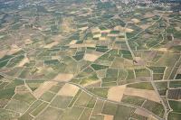 Photo de Saint-Bauzille-de-la-Sylve (34)