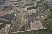 Photo de Alignan-du-Vent (34)