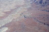 Photo de Ida Ouzekri