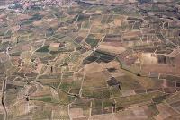 Photo de Tuchan (11)