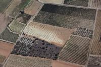 Photo de Montpeyroux (34)