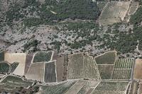 Photo de Gruissan (11)