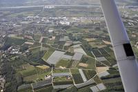 Photo de Chanas (38)