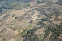 Photo de Lézignan-Corbières (11)