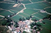 Photo de Aloxe-Corton (21)
