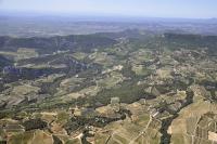 Photo de Suzette (84)