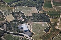 Photo de Montpeyroux (34)