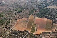 Photo de Leucate (11)