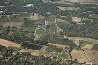 Photo de Aujargues (30)