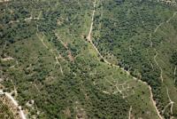 Photo de La Bouilladisse (13)