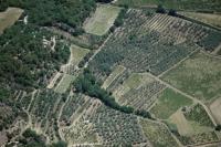 Photo de Mirabel-aux-Baronnies (26)