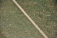 Photo de Violès (84)