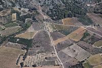 Photo de Saint-Jean-de-Fos (34)