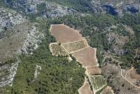 Photo de Gruissan (11)