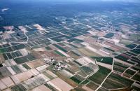 Photo de Saint-Nicolas-de-Bourgueil (37)