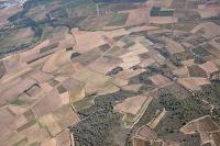 Photo de Lézignan-Corbières (11)