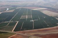 Photo de Lora del Río