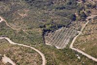 Photo de Marguerittes (30)