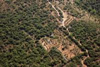 Photo de Pontevès (83)