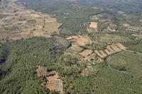 Photo de Tavernes (83)