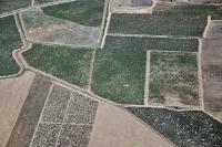 Photo de Capendu (11)