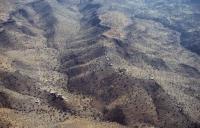 Photo de Ida Ougnidif