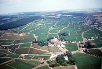 Photo de Aloxe-Corton (21)