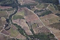 Photo de Le Bosc - Saint-Alban (34)