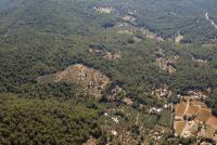 Photo de Callas (83)