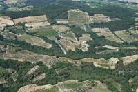 Photo de Mirabel-aux-Baronnies (26)