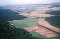 Photo de Wuisse (57)