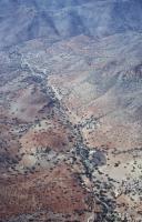 Photo de Ida Oubakil