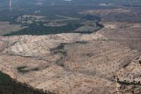 Photo de Villamanrique de la Condesa