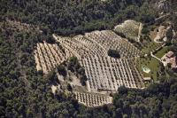 Photo de Mérindol-les-Oliviers (26)