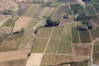 Photo de Peyriac-de-Mer (11)