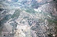 Photo de Arenas