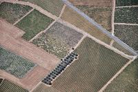 Photo de Saint-Guiraud (34)