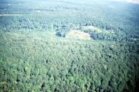 Photo de Beaulieu-en-Argonne (55)