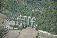 Photo de Sussargues (34)