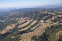 Photo de Bouisse (11)