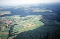 Photo de Pfalzweyer (67)